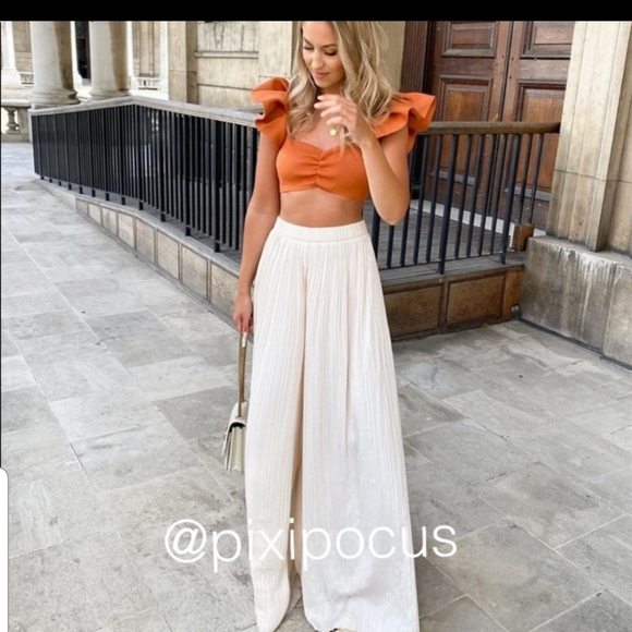 Zara Palazzo Pleated Pants - Vanilla - Picture 4 of 11